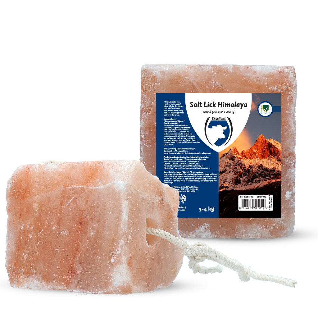 Excellent Liksteen Himalaya (with rope) 3-4 kg