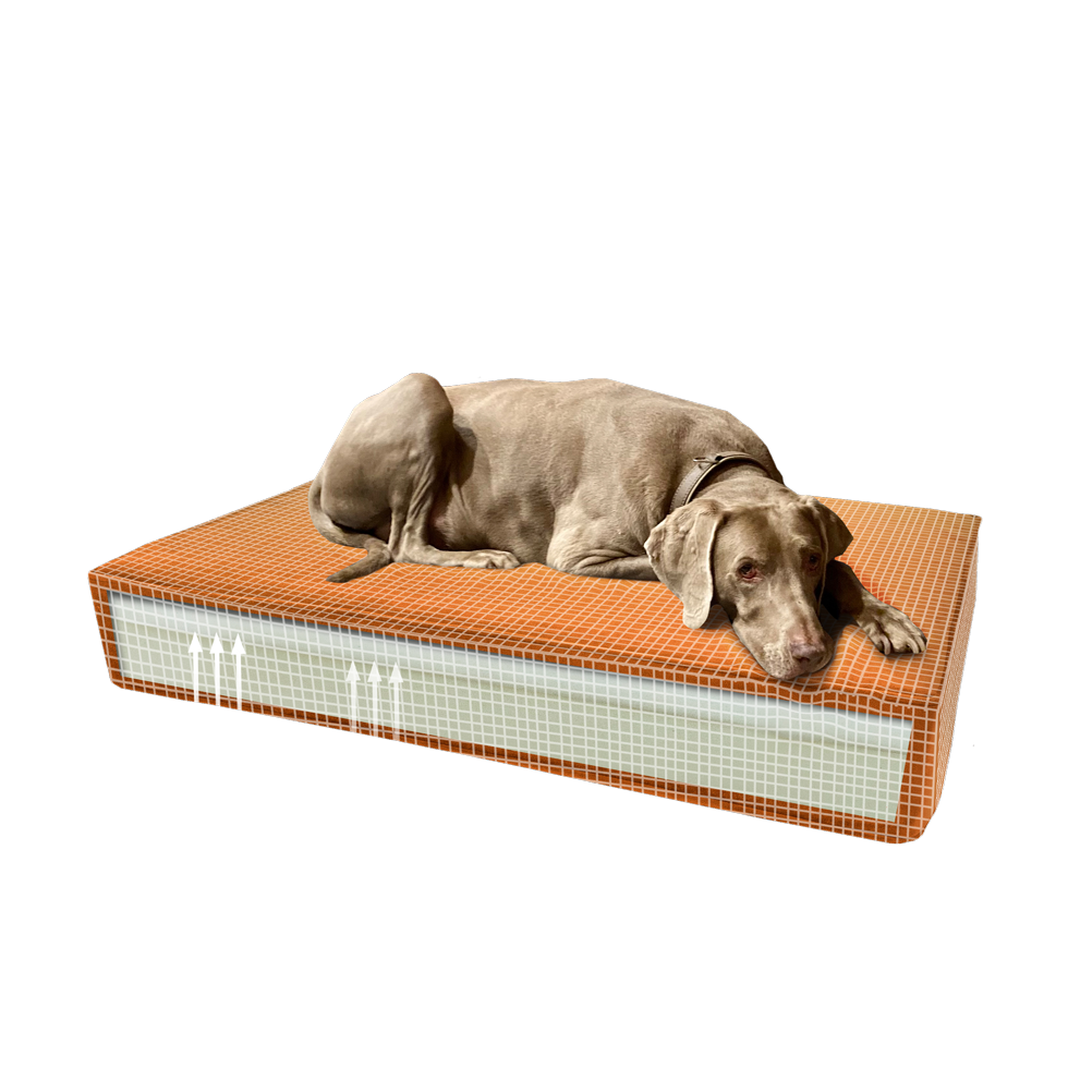 Madison Orthopedic Cushion Velvet Orange S