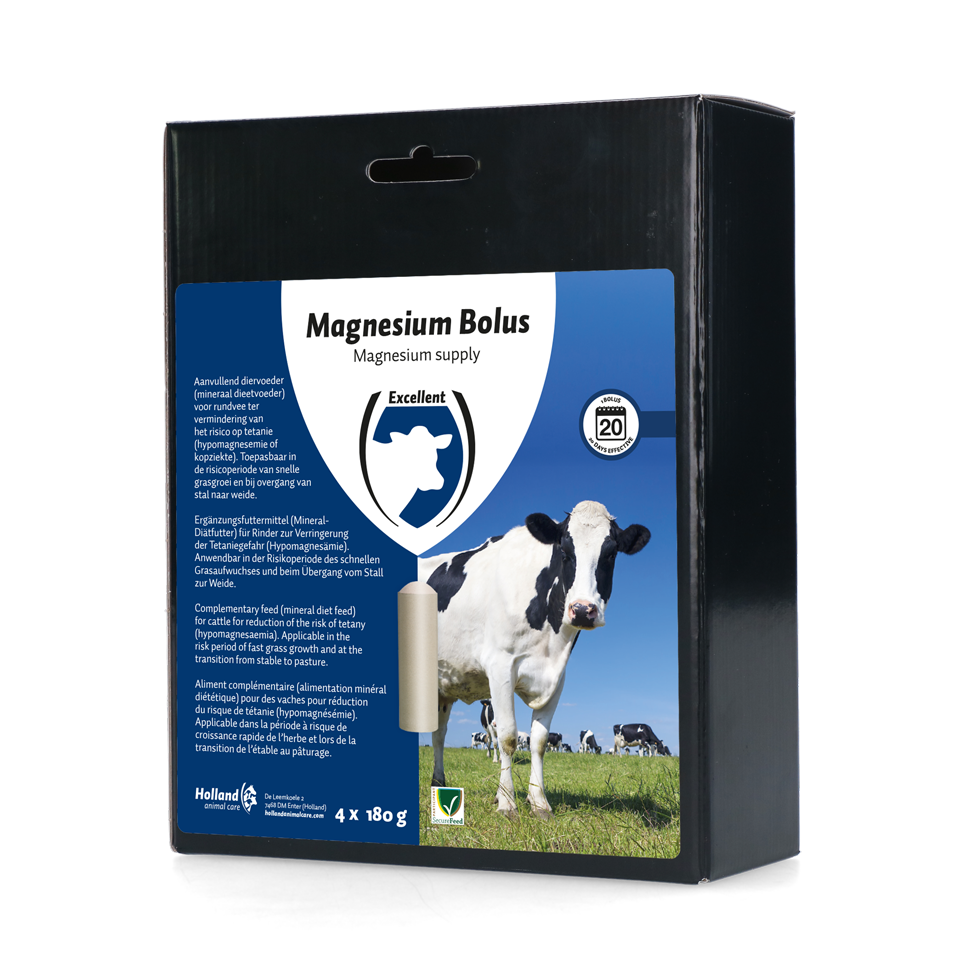 Excellent Magnesium Bolus 4 x 180 g
