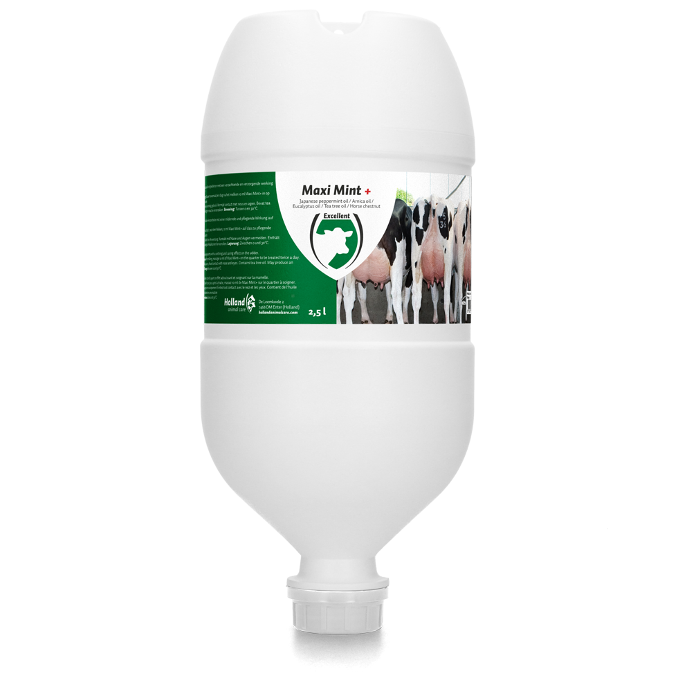 Excellent Maxi Mint+ Hanging Tube 2,5 l