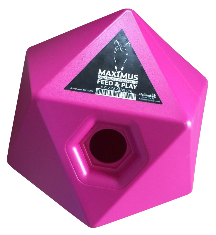 Maximus Feed & Play Pink