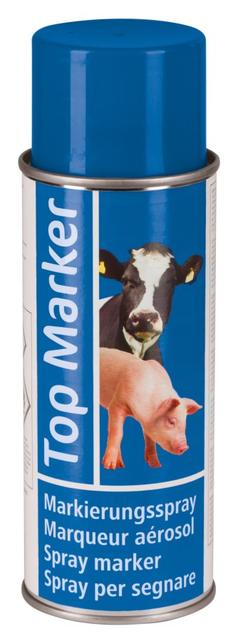 Raidex Marking spray Blue