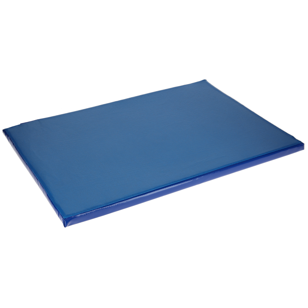 Disinfection mat 85x60x3.5 cm