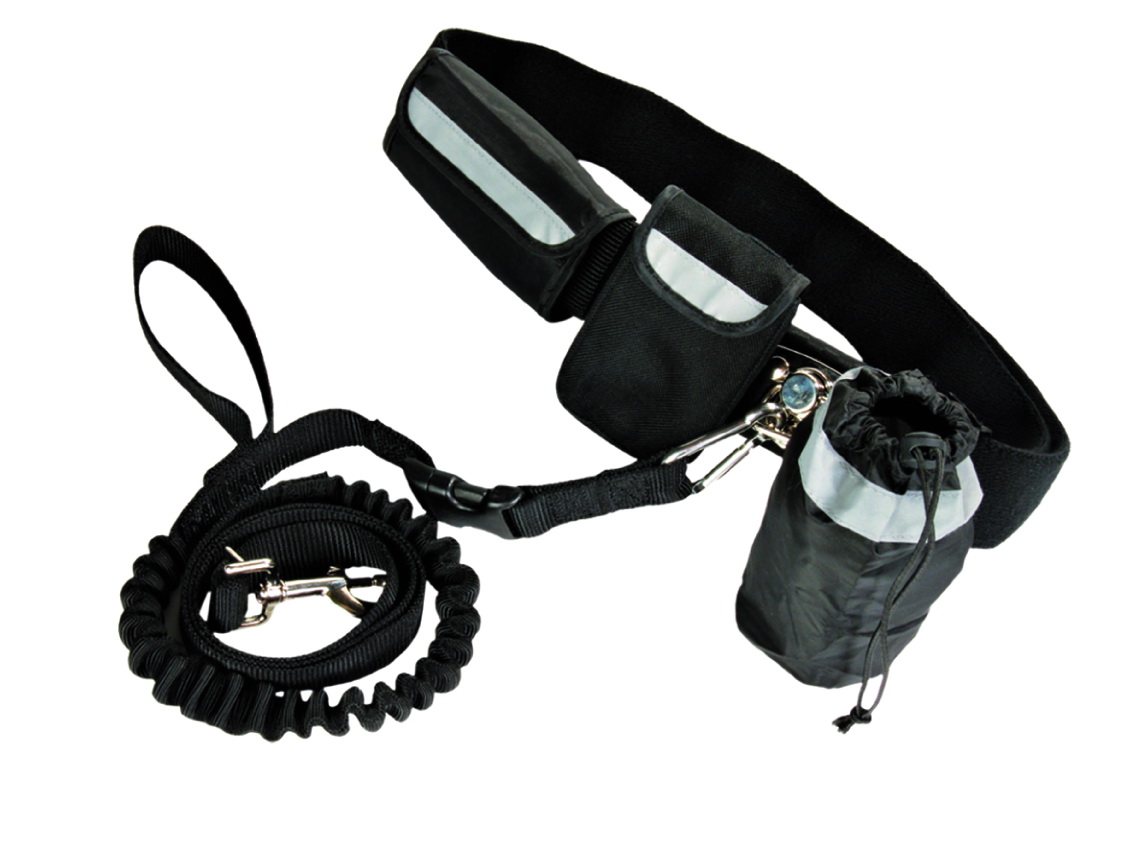 Pawise Hands Free Doggy Jogger Kit