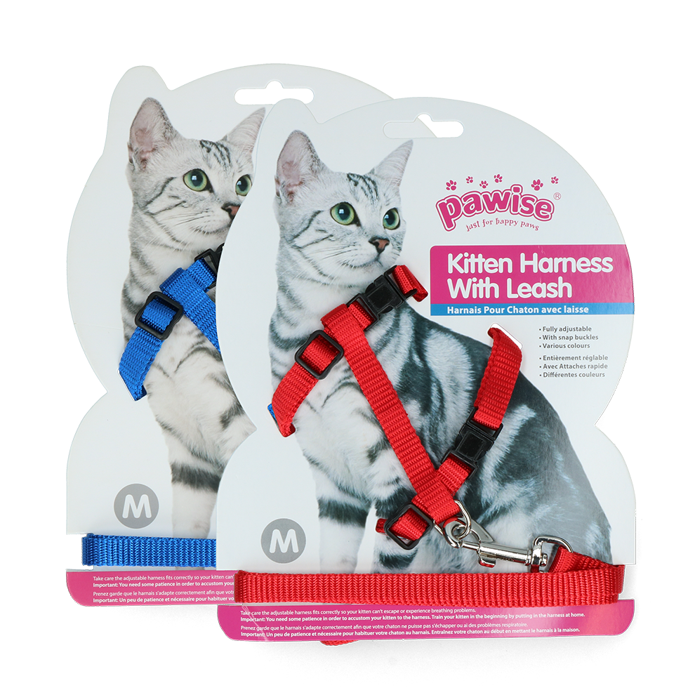 Pawise Kitten Harness With Leash Red/Blue M