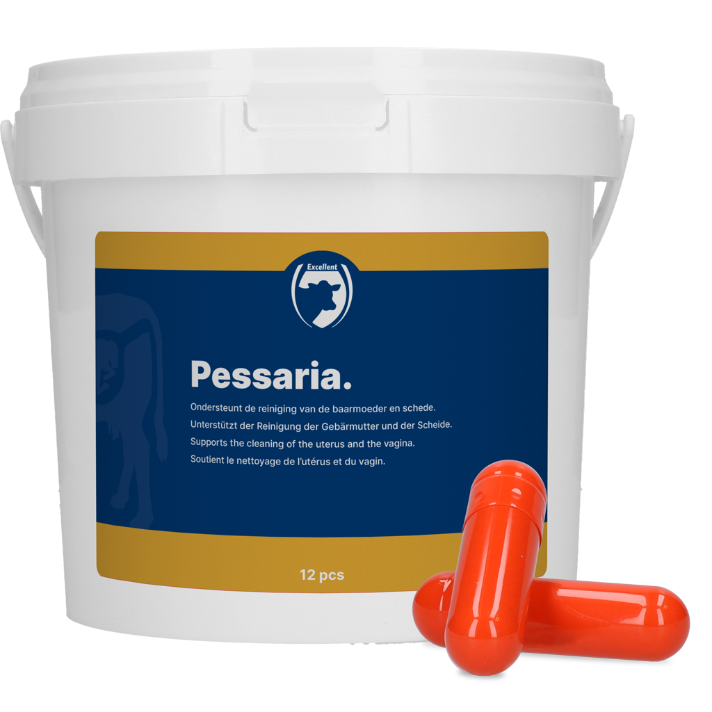 Excellent Pessaria Capsule 12 pcs