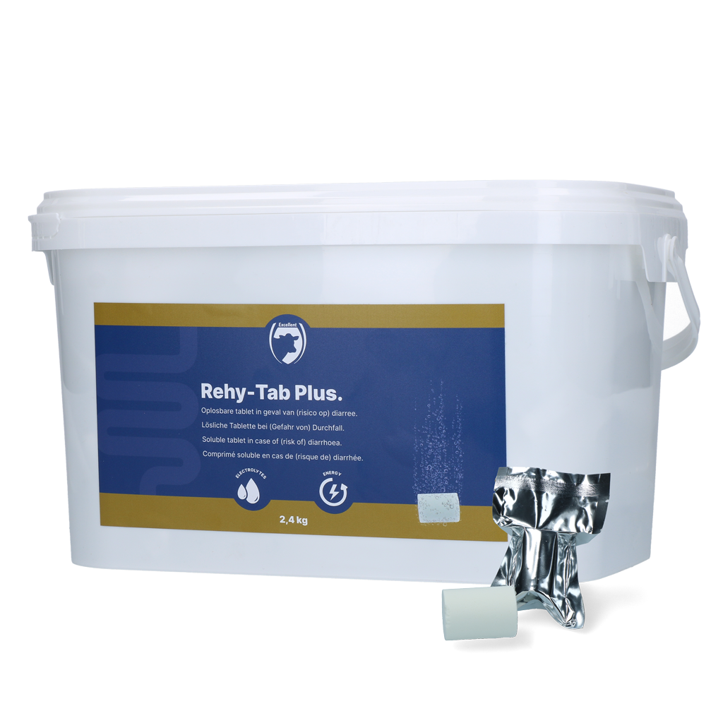 Excellent Rehy-Tab Plus (Effervescent tablet diarrhoea) 2.4 kg (48 tabs)