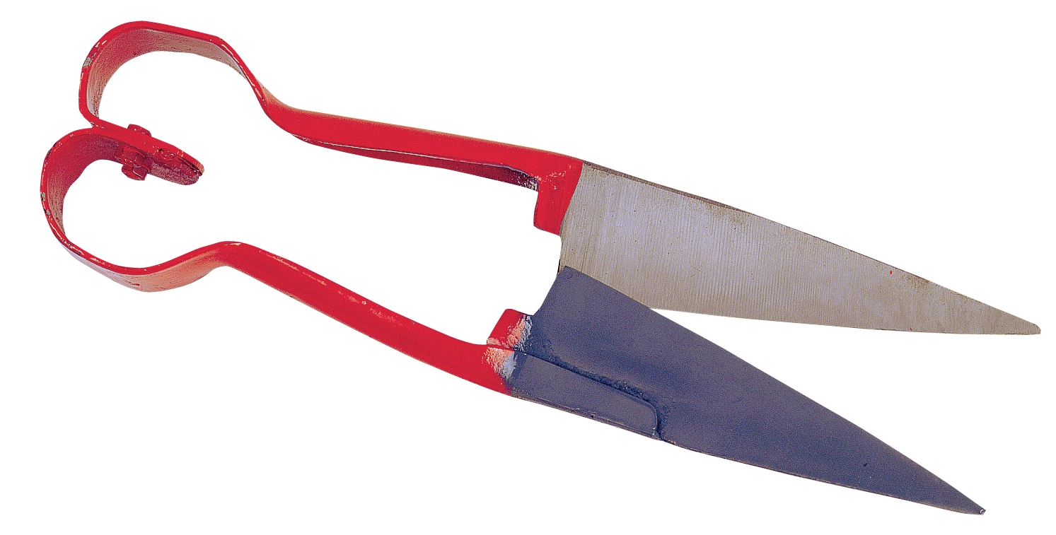 Sheep wool shear heart model