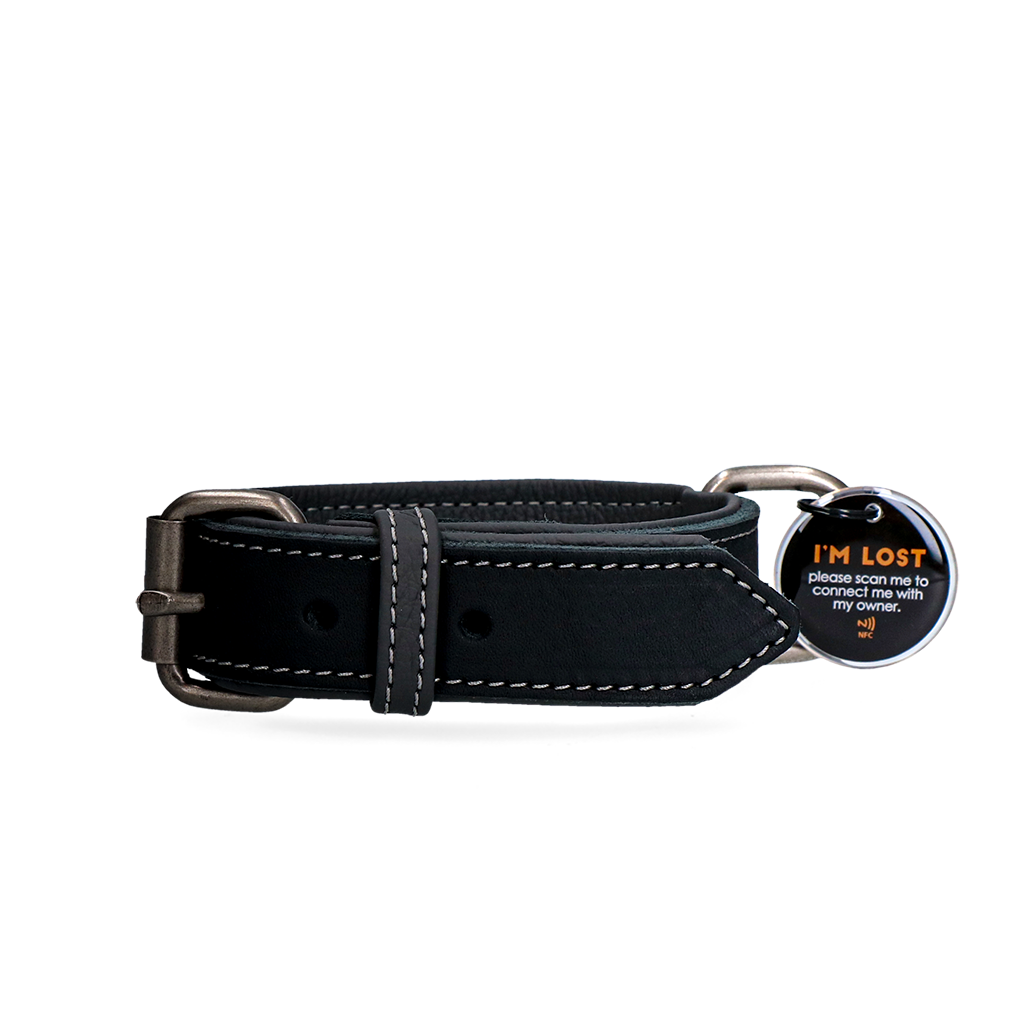 Spotted! Pro Leather Collar Black 2.5 x 40 cm