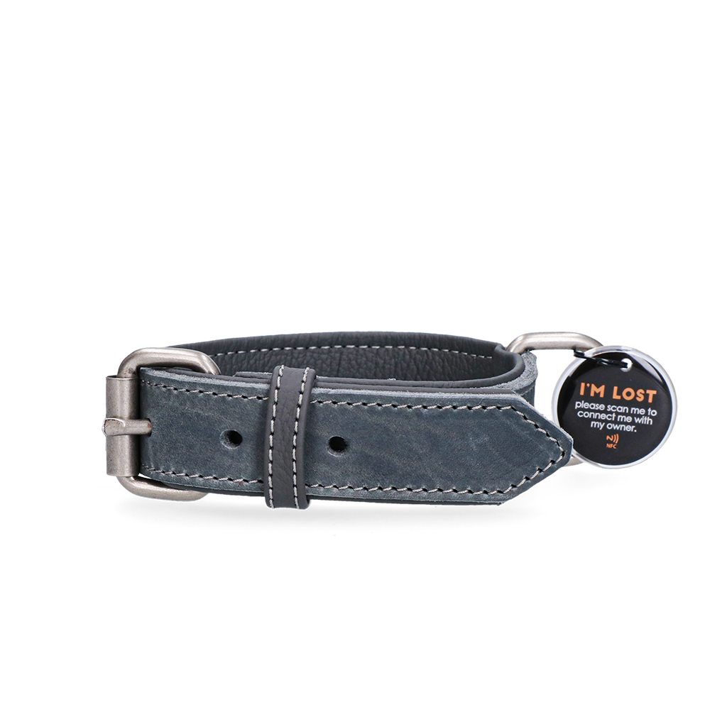 Spotted! Pro Leather Collar Grey 3 x 60 cm