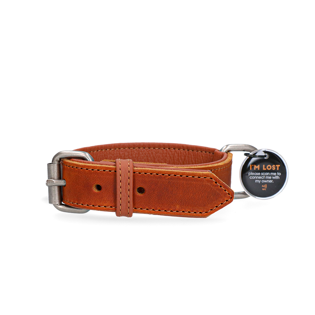 Spotted! Pro Leather Collar Cognac 3 x 60 cm