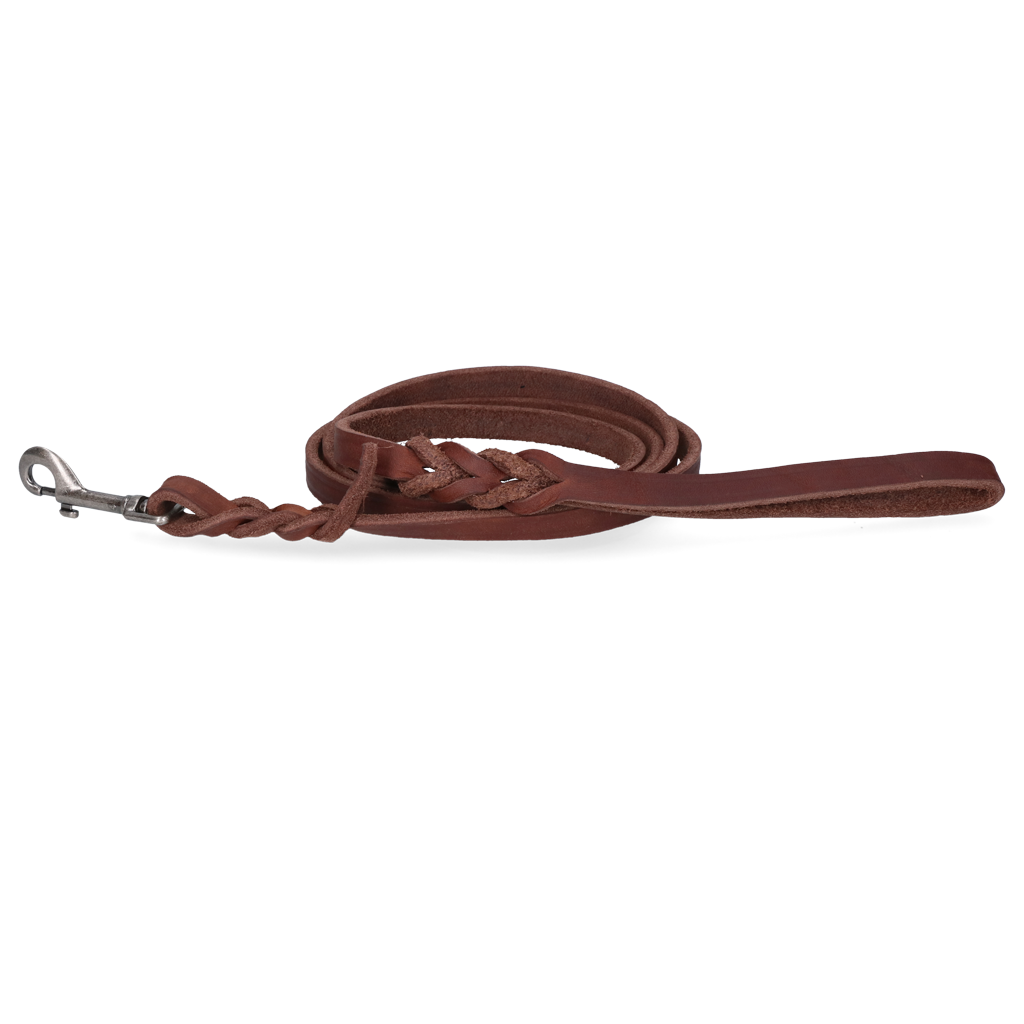 Spotted! Pro Leather Show Leash Brown 1,6 x 180 cm (Bolt Snap)