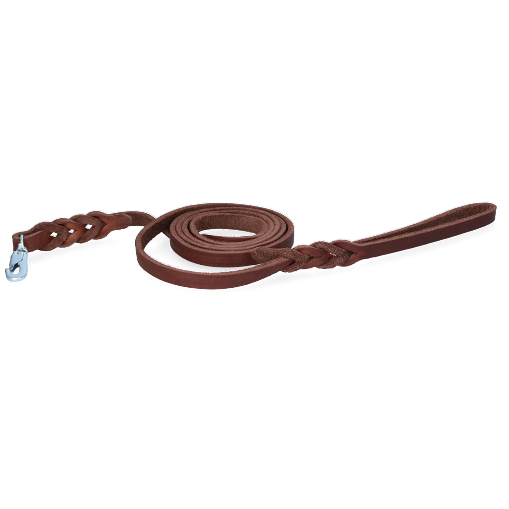 Spotted! Pro Leather Show Leash Brown 1.6 x 180 cm (Clip Hook)