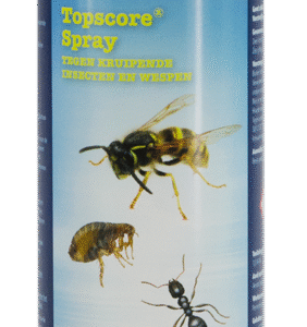 Topscore crawling insects