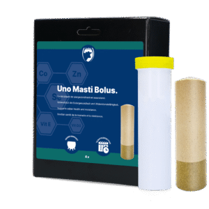 Excellent Uno Masti Bolus 4 pieces