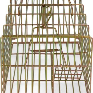 Trap for live catch rat multi catch