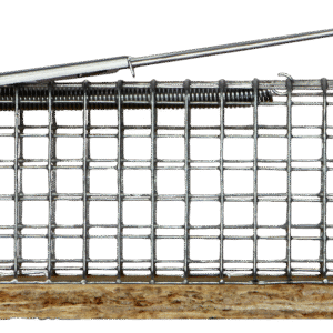 Mousetrap alive "Dura"