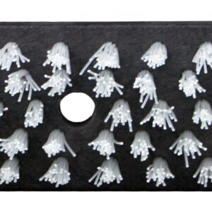 Vink Cattle Brush with Spray Nozzles