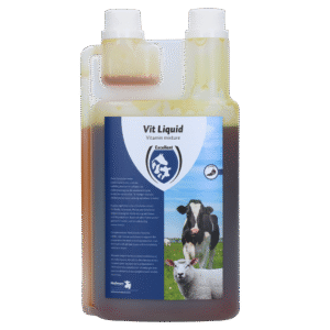 Excellent Vit Liquid Multivitamin 1 l