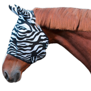 Fly Mask Warmblood Pony
