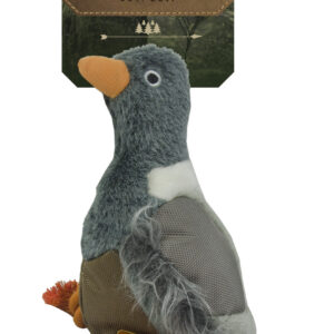 Wild Life Dog Pigeon