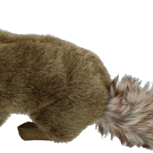 Wild Life Dog Marten