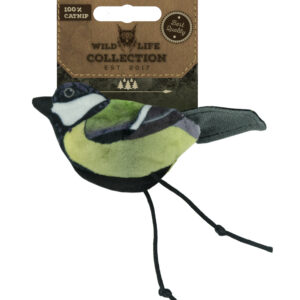 Wild Life Cat Great Tit