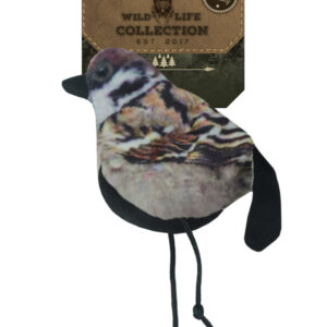 Wild Life Cat Sparrow