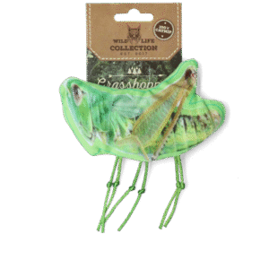 Wild Life Cat Grasshopper