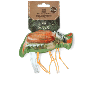 Wild Life Cat Beetle