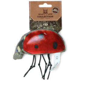 Wild Life Cat Ladybug