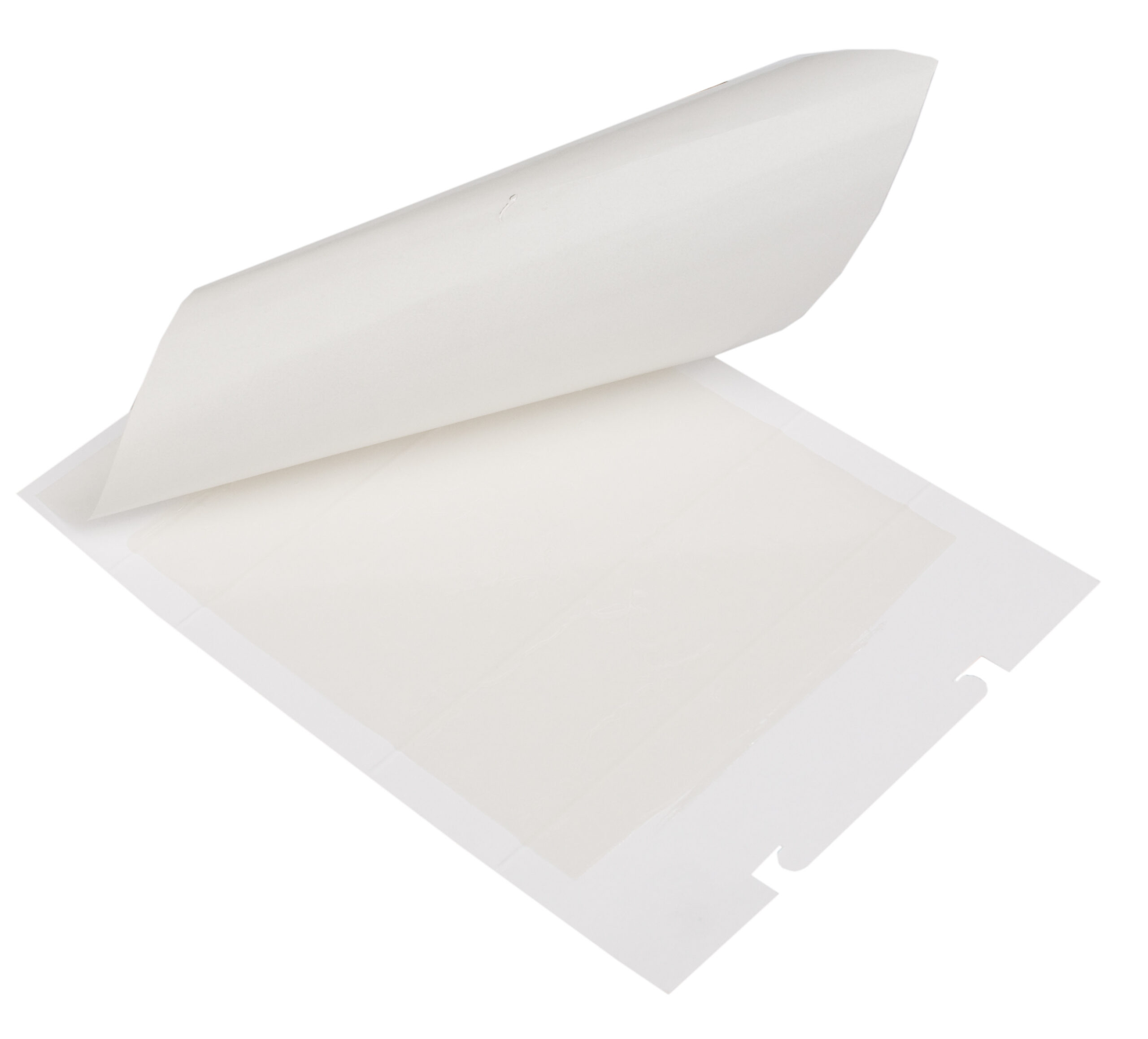 Zapi Zap Trap glue trap for mice and insects 15x21 cm - Image 2