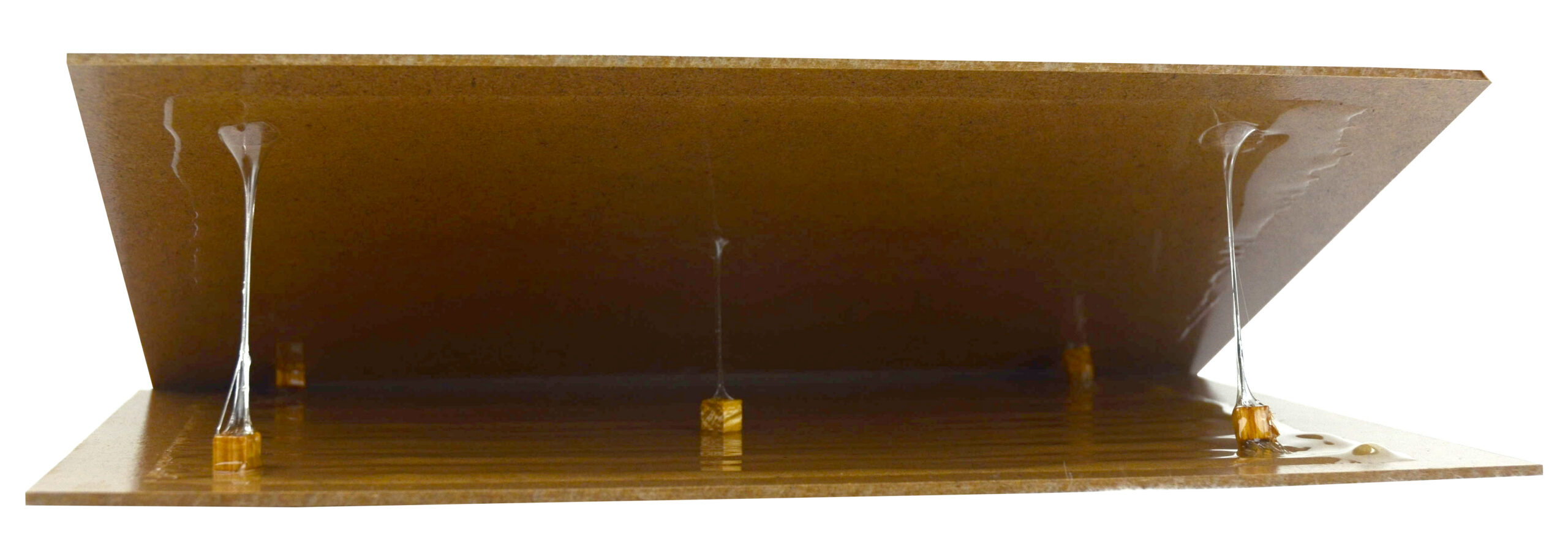 Zapi Super Tablet Rats and Mice sticky trap 19 x 28 cm - Image 3