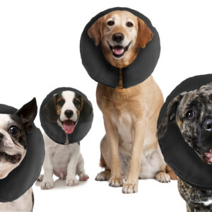 Zenpet ProCollar XXL