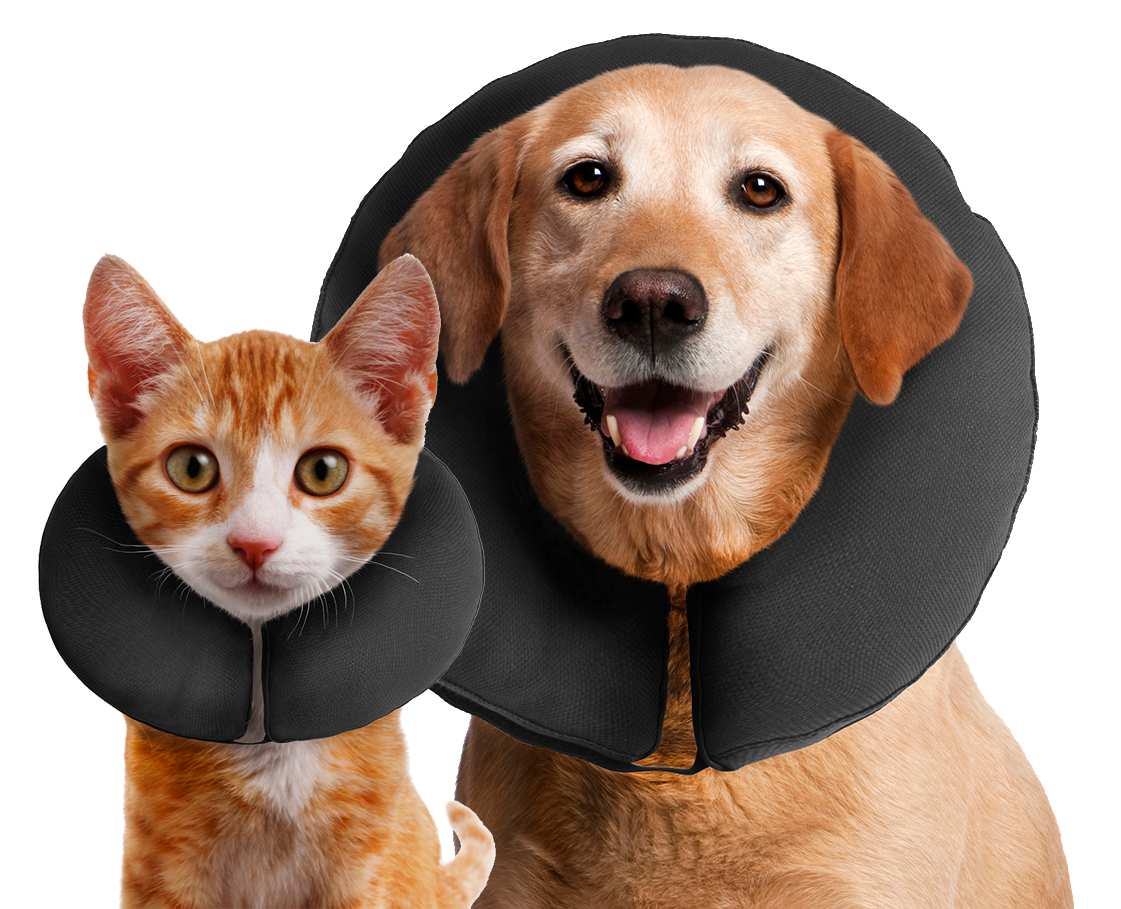 Zenpet ProCollar L - Image 3