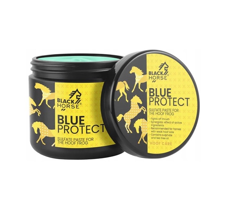 BLACK HORSE Sulfate paste BLUE PROTECT 500 ml.