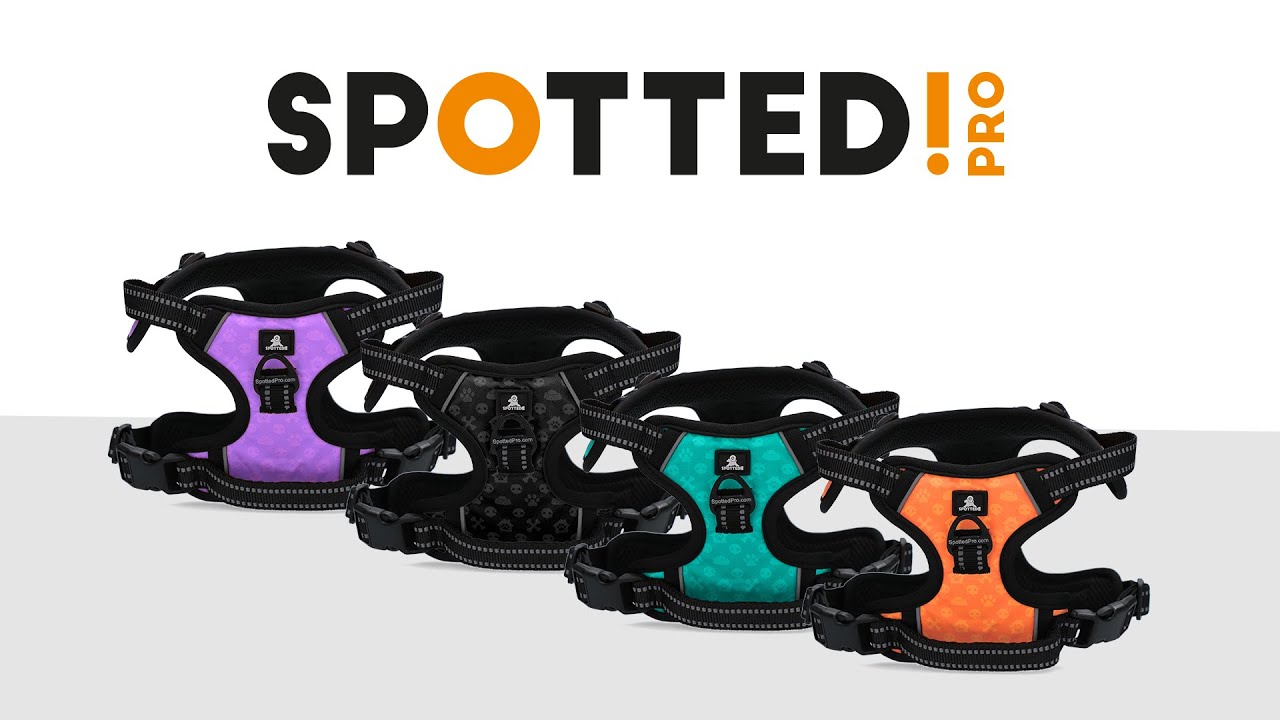 Spotted! Pro No Pull Harnas Dark Grey XXS