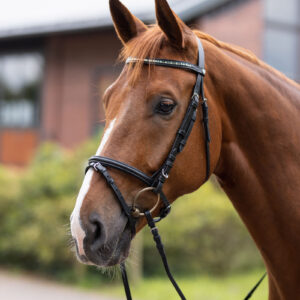 Horze Weston Bridle