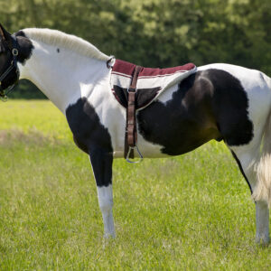 NORTON Bareback-Riding pad