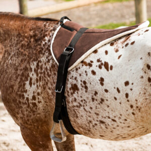 NORTON Bareback Riding Pad – Soft