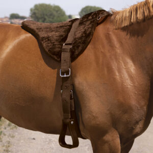 NORTON Bareback-Riding pad – Comfort