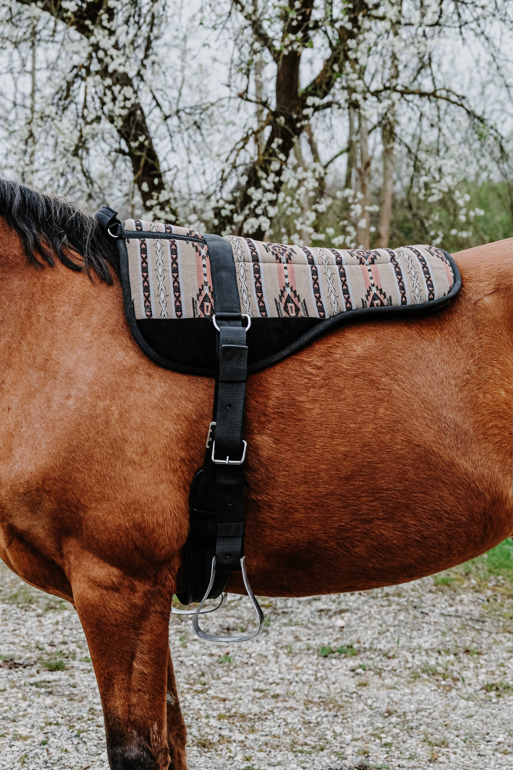 NORTON Bareback-Riding pad – Kiowa - Image 2