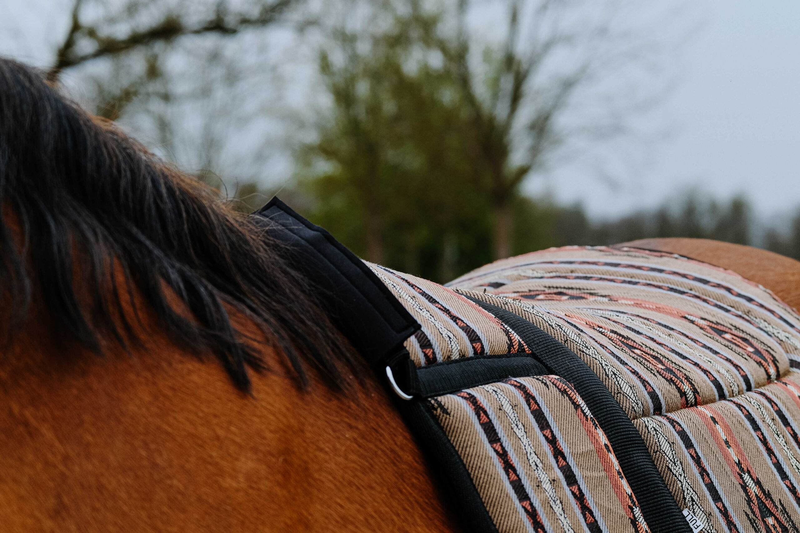 NORTON Bareback-Riding pad – Kiowa - Image 5