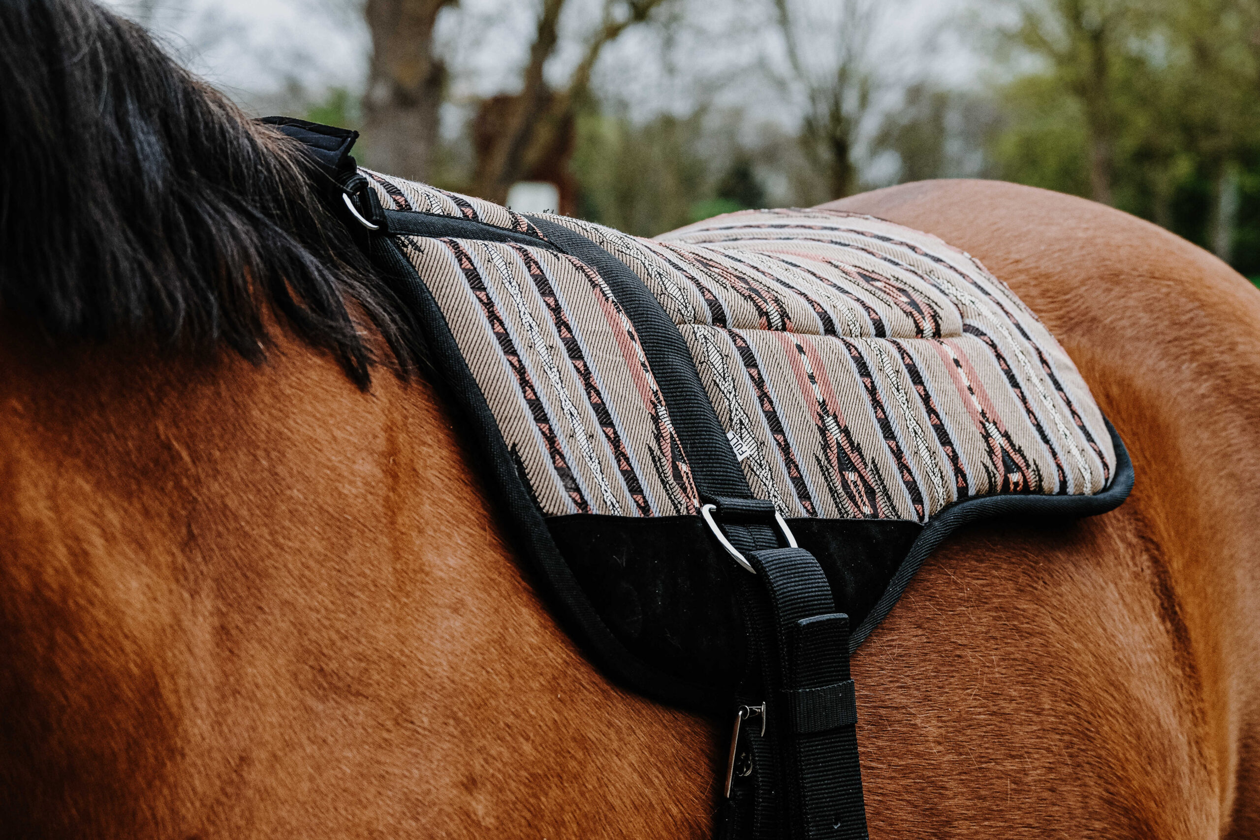 NORTON Bareback-Riding pad – Kiowa - Image 6