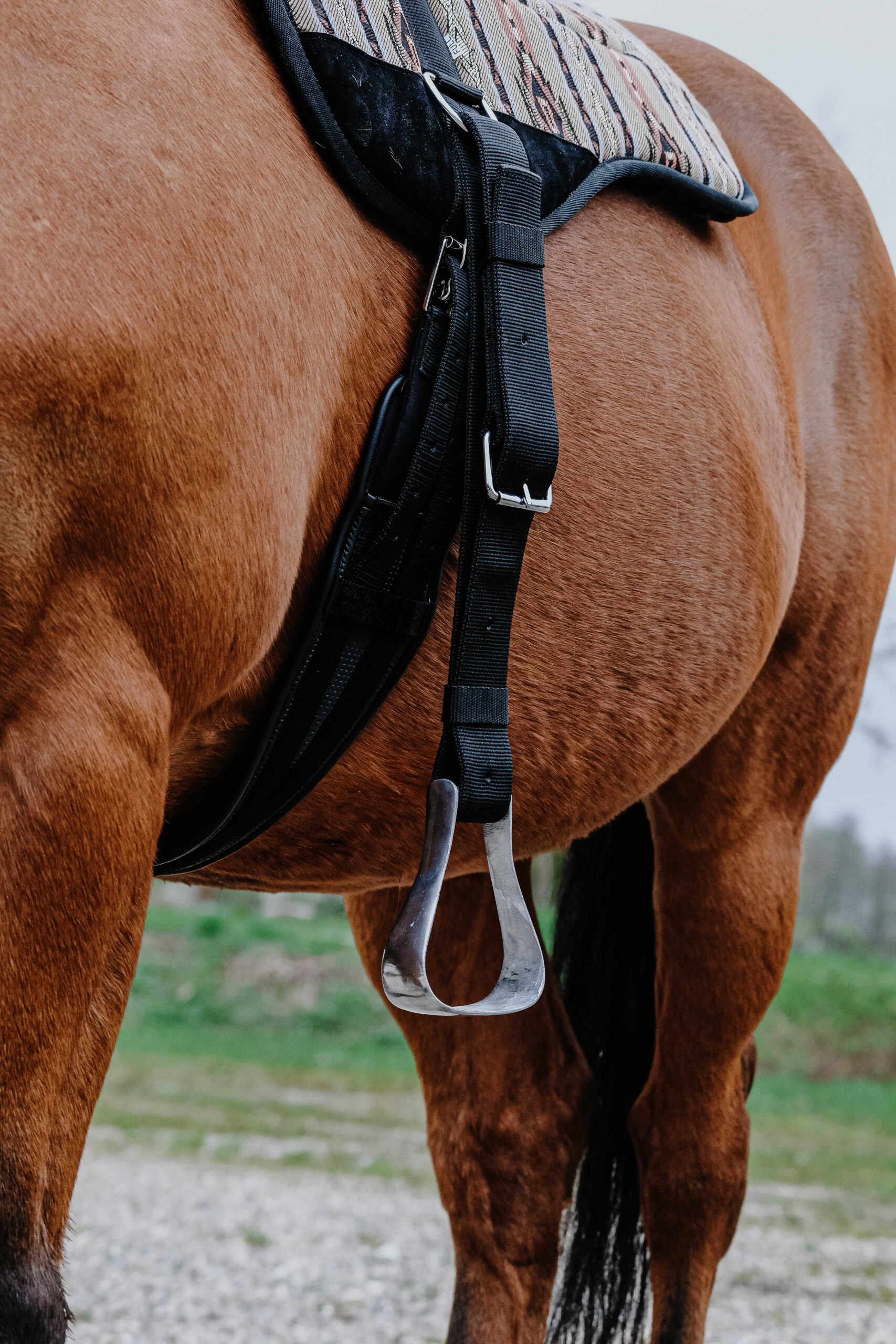 NORTON Bareback-Riding pad – Kiowa - Image 7