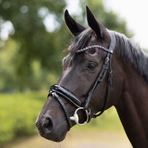 Horze Clermont Anatomic Bridle