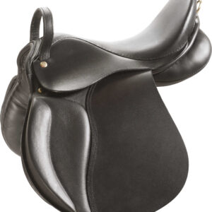 NORTON - Educative - Educational saddle
