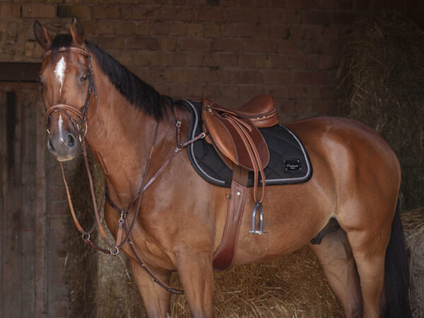ERIC THOMAS FITTER Stirrup leathers - Image 3