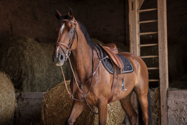 ERIC THOMAS FITTER Stirrup leathers - Image 7