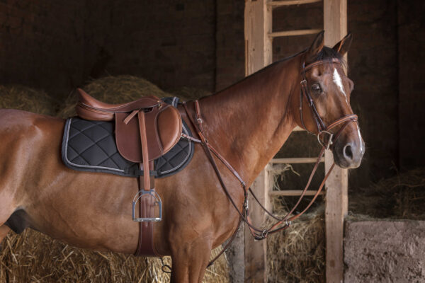 ERIC THOMAS FITTER Stirrup leathers - Image 8